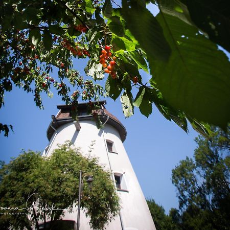 Villa Dom Wakacyjny - Wiatrak Holenderski Na Mazurach Ryn  Exterior foto