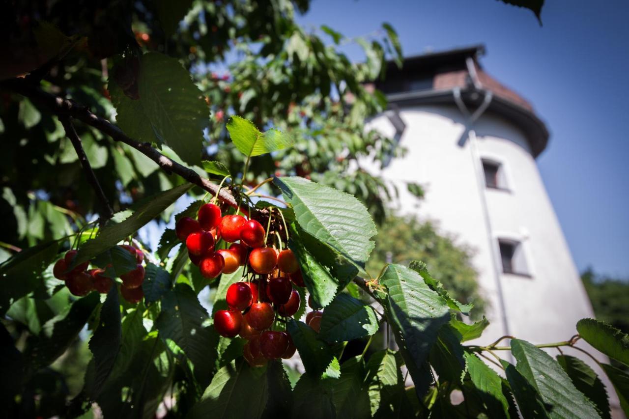 Villa Dom Wakacyjny - Wiatrak Holenderski Na Mazurach Ryn  Exterior foto