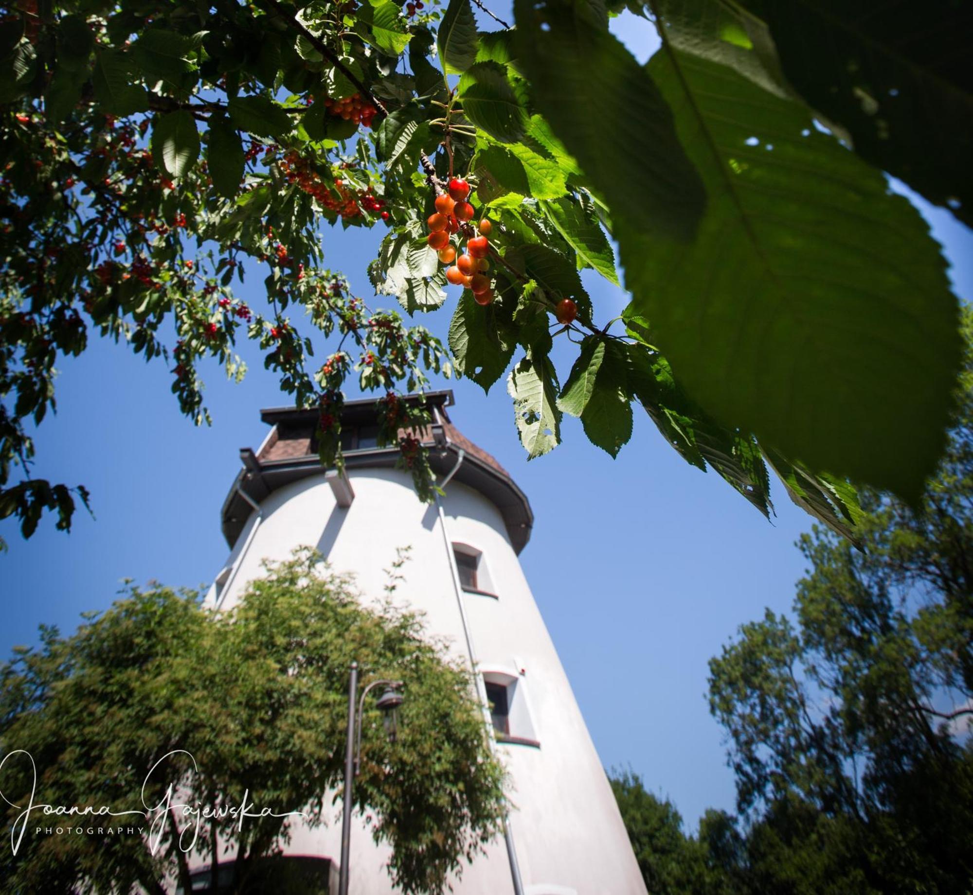 Villa Dom Wakacyjny - Wiatrak Holenderski Na Mazurach Ryn  Exterior foto